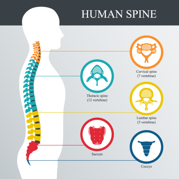 Coccyx Injuries: Treatment Options after a Car Accident