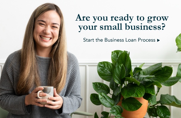 business loan no income verification