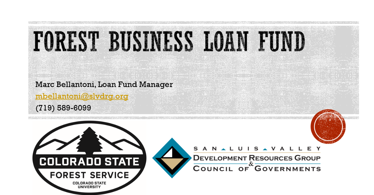 state business loan